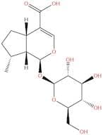 8-Epideoxyloganic acid
