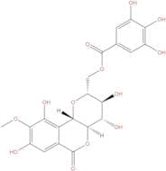 11-O-Galloylbergenin