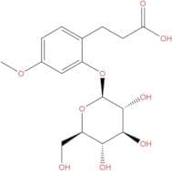 3-(2-Glucosyloxy-4-methoxyphenyl)propanoic acid