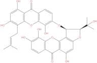 Bijaponicaxanthone C
