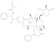 7-Xylosyl-10-deacetyltaxol B