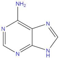 Adenine