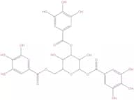 1,3,6-Trigalloylglucose