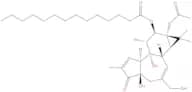 Phorbol-12-Myristate-13-Acetate