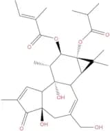 12-O-Tiglylphorbol-13 -isobutyrate