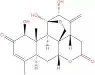 Ailanthone