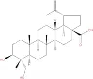 23-Hydroxybetulinic acid