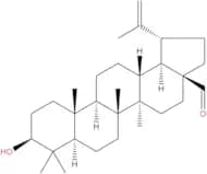 Betulinaldehyde