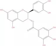 Catechin gallate