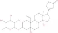 Convallatoxin