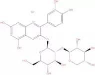 Cyanidin 3-Sambubioside chloride