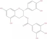 Epicatechin gallate