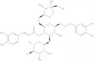 Forsythoside B