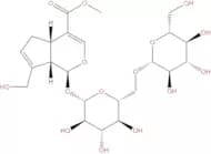 Genipin 1-gentiobioside