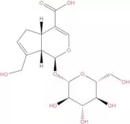 Geniposidic acid
