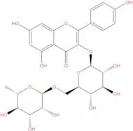Kaempferol-3-Rutinoside