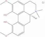 Magnoflorine chloride
