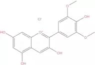 Malvidin chloride