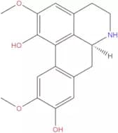 Norisoboldine