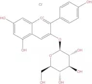 Pelargonidin 3-Glucoside chloride