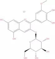 Petunidin 3-Glucoside chloride