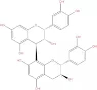 Procyanidin B1