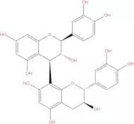 Procyanidin B3