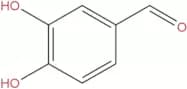 Protocatechualdehyde