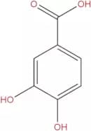 Protocatechuic Acid
