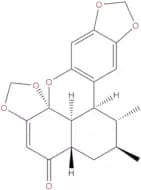Sauchinone