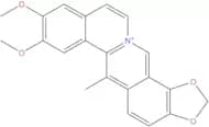 Dehydrocavidine