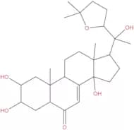 Stachysterone D
