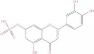Luteolin 7-sulfate