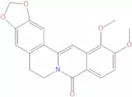 8-Keto-berberine