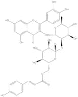 Quercetin 3-O-β-D-(6''-p-coumaroyl)glucopyranosyl(1-2)-α-L-rhamnopyranoside