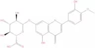 Diosmetin 7-O-β-D-glucuronide