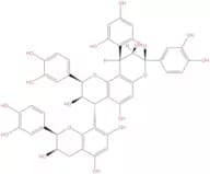 Cinnamtannin B1