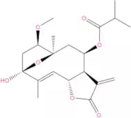 1β-Methoxydiversifolin