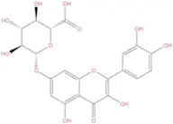 Quercetin 7-O-glucuronide