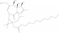 13-Oxyingenol dodecanoat