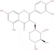 Quercetin 3-O-β-D-xylopyranoside