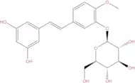 Rhapontigenin 3'-O-glucoside