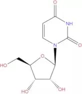 Uridine