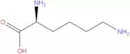 L-Lysine