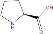 L-Proline