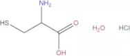 L-Cysteine hydrochloride monohydrate