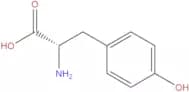 L-Tyrosine