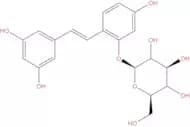 Oxyresveratrol 2-O-β-D-glucopyranoside