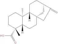 Kaurenoic acid