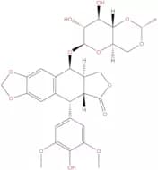 Etoposide